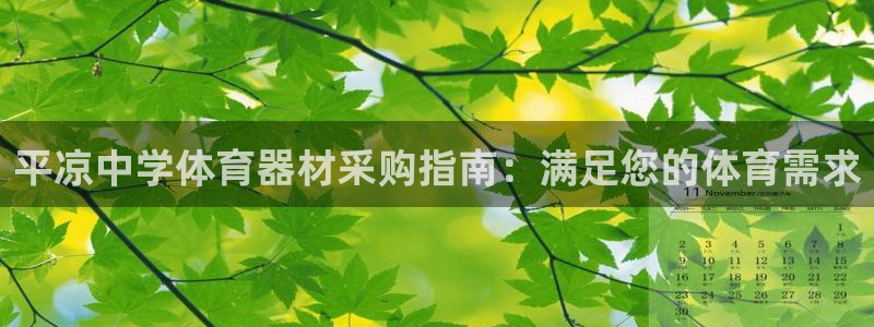 极悦平台注册官网网址：平凉中学体育器材采购指南：满足