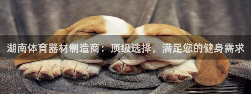 极悦是什么牌子空调的：湖南体育器材制造商：顶级选择，