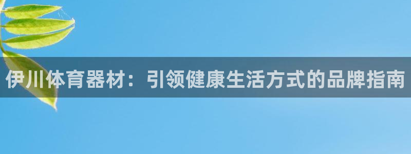 极悦平台注册用户名生成器：伊川体育器材：引领健康生活