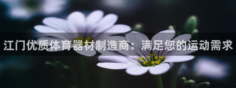 极悦娱乐方7O777：江门优质体育器材制造商：满足您