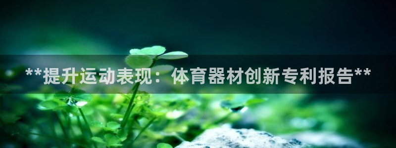 极悦娱乐股东结构：**提升运动表现：体育器材创新专利