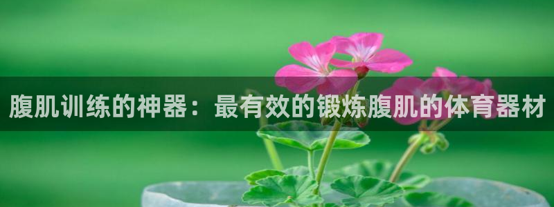 极悦平台登录方式有哪些：腹肌训练的神器：最有效的锻炼
