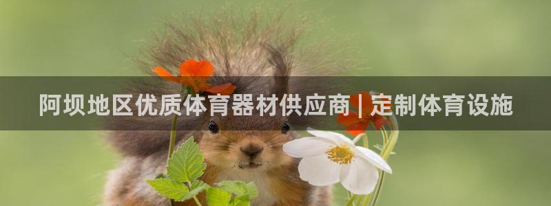 极悦平台登录7.0.2.4手机版下载安装：阿坝地区优