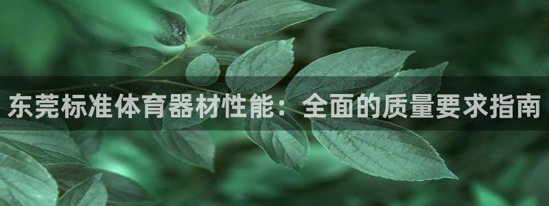 加盟极悦教育要多少钱：东莞标准体育器材性能：全面的质