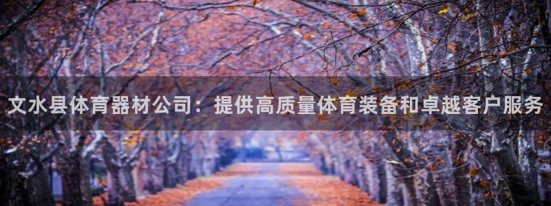 极悦娱乐的背景和历史背景介绍：文水县体育器材公司：提