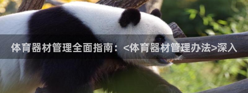 极悦娱乐游戏安全吗：体育器材管理全面指南：<体育器材