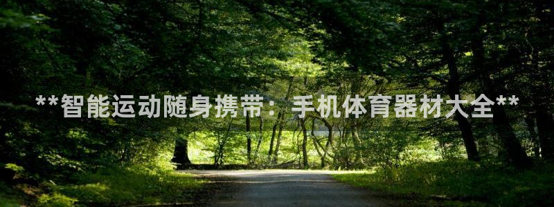极悦娱乐股东：**智能运动随身携带：手机体育器材大全