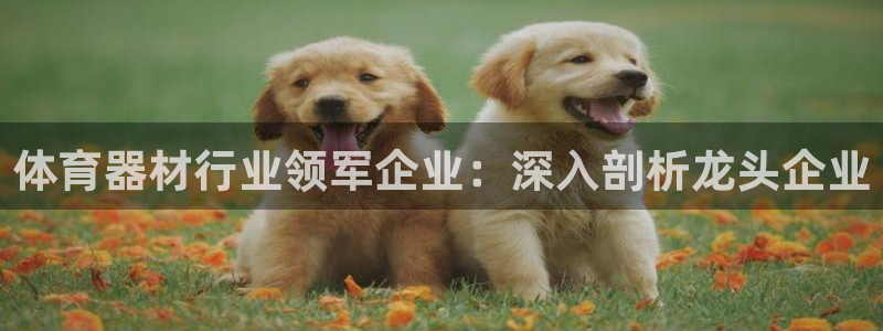 极悦平台网址皮皮虾下载：体育器材行业领军企业：深入剖