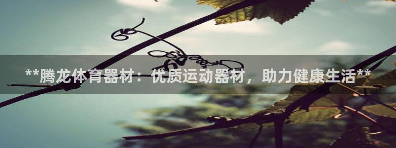 极悦平台官方网站入口链接：**腾龙体育器材：优质运动