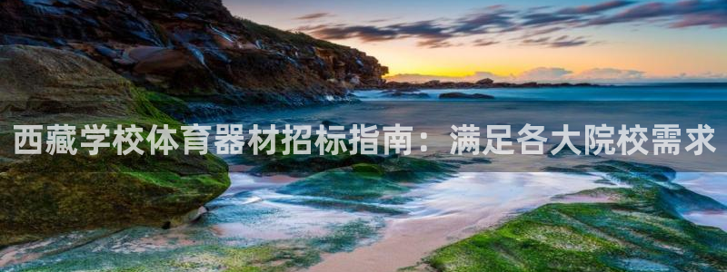 极悦娱乐的背景和历史背景是什么：西藏学校体育器材招标