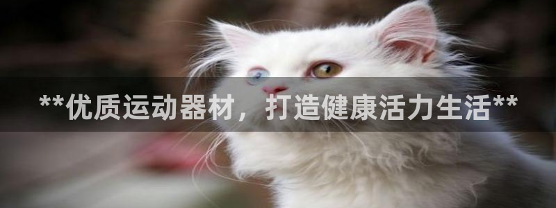 极悦娱乐官网下载安装：**优质运动器材，打造健康活力