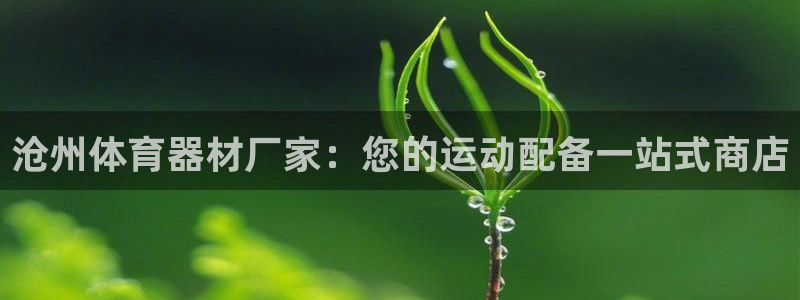 极悦平台是正规平台吗安全吗：沧州体育器材厂家：您的运