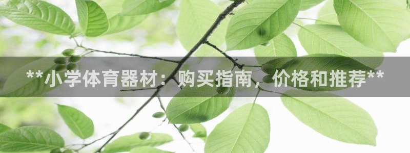 极悦娱乐贴吧官网：**小学体育器材：购买指南，价格和