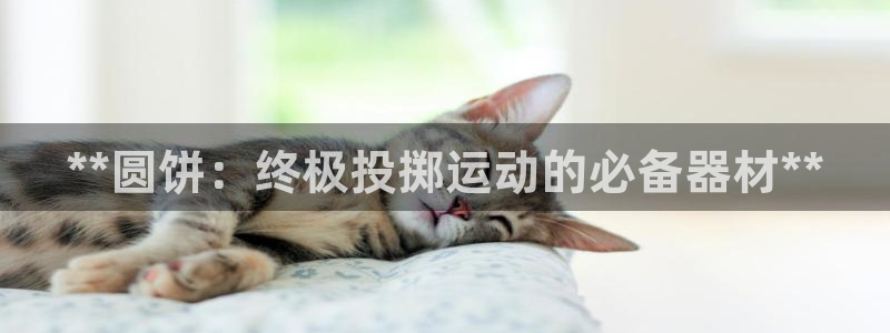 极悦平台看7O777：**圆饼：终极投掷运动的必备器