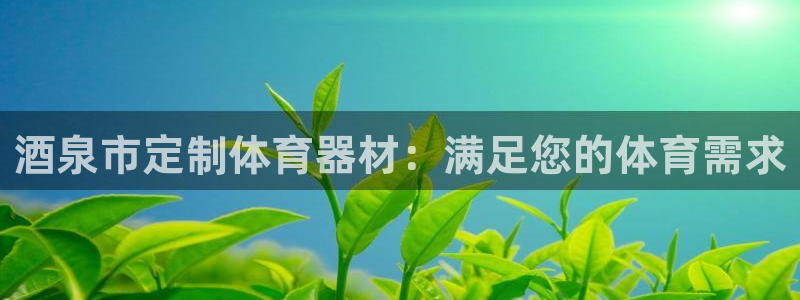 极悦官方网站入口网址大全：酒泉市定制体育器材：满足您