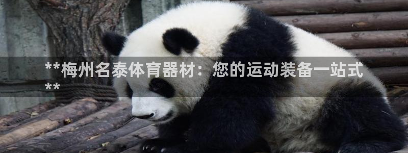 极悦平台app安全吗可靠吗：**梅州名泰体育器材：您
