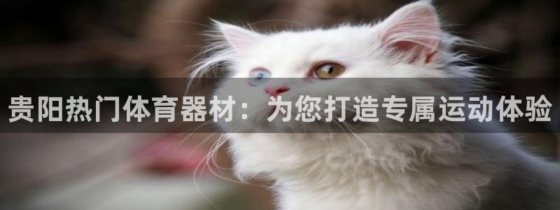 极悦牙膏怎么样：贵阳热门体育器材：为您打造专属运动体