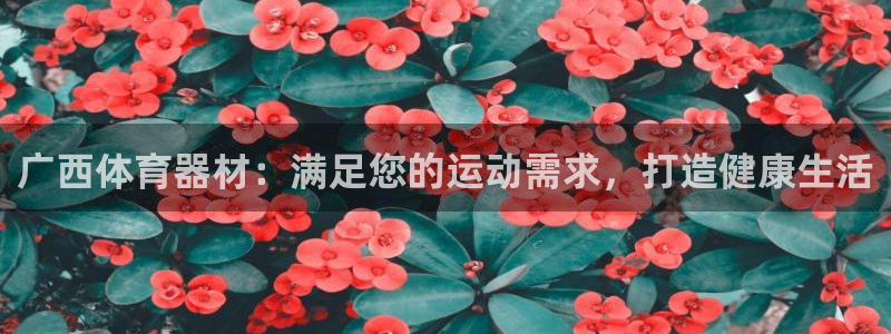极悦平台用户评价与反馈在哪里：广西体育器材：满足您的