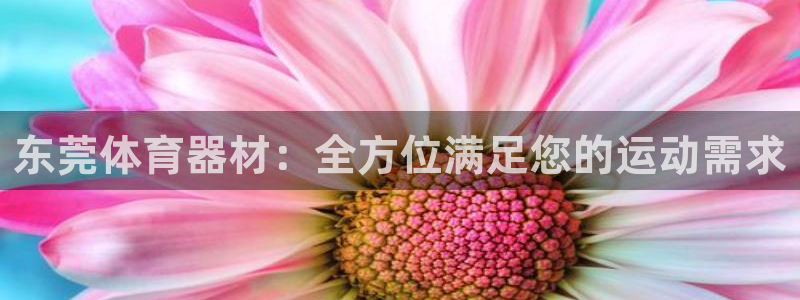 极悦娱乐代理人是谁啊：东莞体育器材：全方位满足您的运