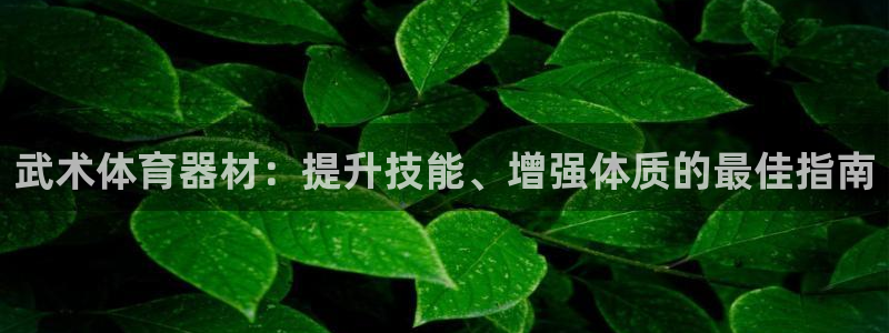极悦平台发7O777：武术体育器材：提升技能、增强体