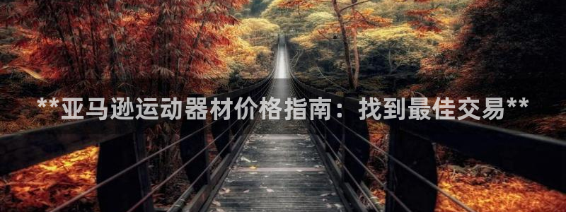 极悦生活家是什么平台的产品：**亚马逊运动器材价格指