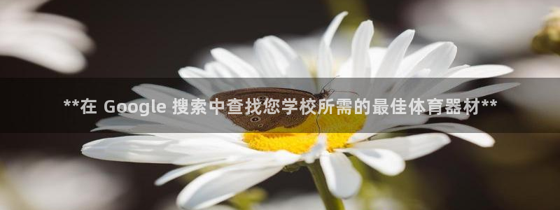 极悦平台是什么平台的：**在 Google 搜索中查