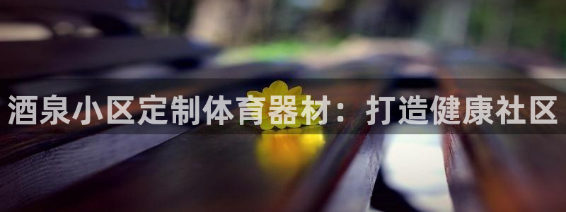 极悦平台注册用户名生成器：酒泉小区定制体育器材：打造