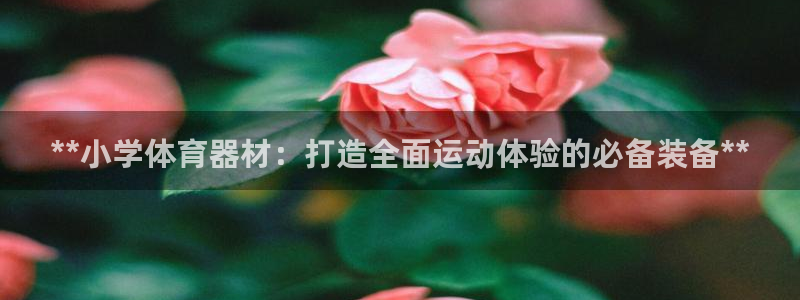 极悦平台官方网站下载安卓：**小学体育器材：打造全面