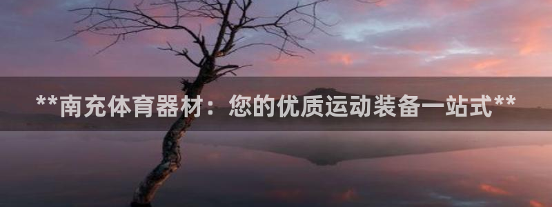 极悦平台官网登录网址是什么：**南充体育器材：您的优