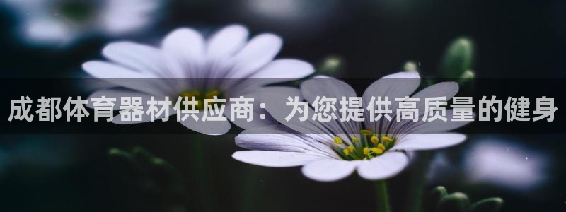 极悦平台股东有哪些：成都体育器材供应商：为您提供高质
