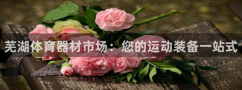 极悦平台有风险吗现在：芜湖体育器材市场：您的运动装备