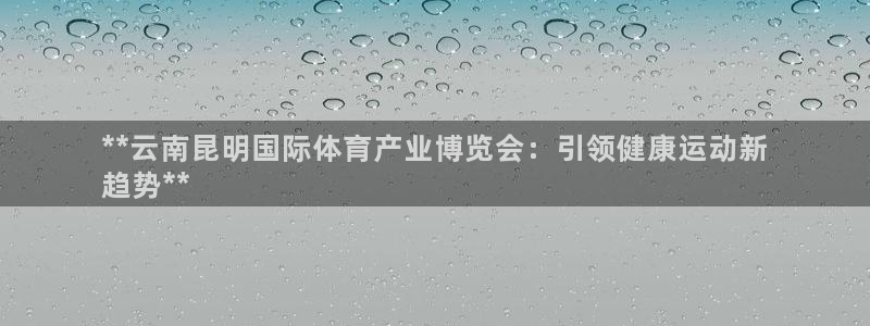 深圳极悦文化传媒有限公司：**云南昆明国际体育产业博