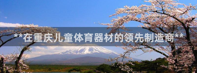 极悦娱乐创始人背景故事介绍：**在重庆儿童体育器材的