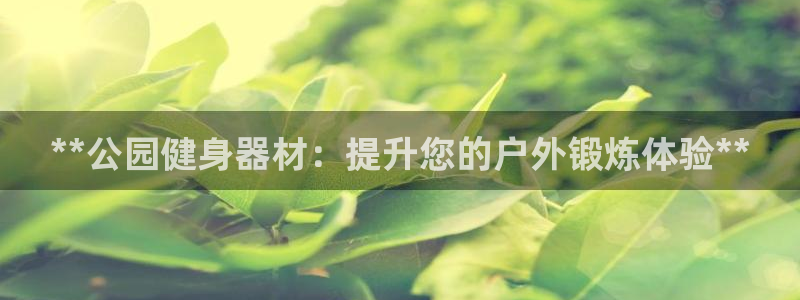 极悦娱乐代理：**公园健身器材：提升您的户外锻炼体验