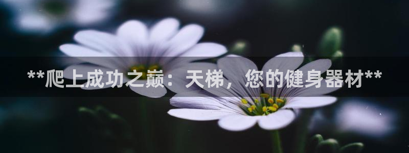 极悦平台客服的联系方式是：**爬上成功之巅：天梯，您