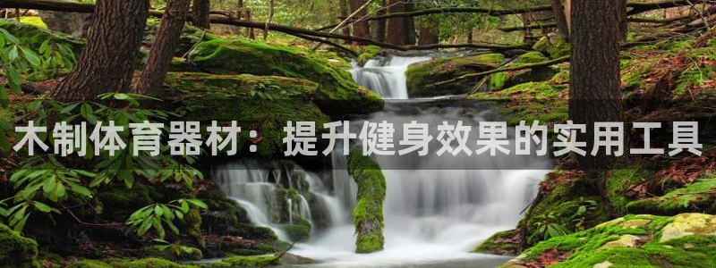 极悦娱乐现在叫什么：木制体育器材：提升健身效果的实用