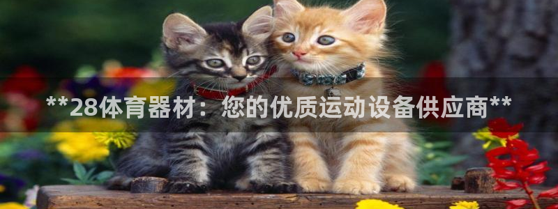 极悦平台app二维码怎么弄到桌面：**28体育器材：