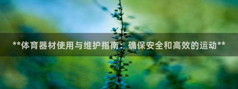 极悦娱乐股东：**体育器材使用与维护指南：确保安全和
