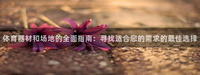 极悦平台用户评价与反馈在哪里：体育器材和场地的全面指