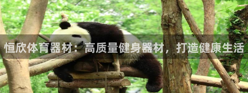 极悦平台官方网站首页：恒欣体育器材：高质量健身器材，