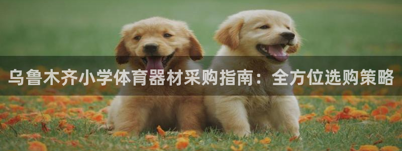 极悦平台登录不进去怎么回事呢：乌鲁木齐小学体育器材采