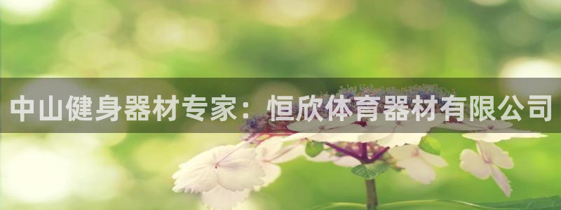 极悦娱乐的创始人背景故事是什么：中山健身器材专家：恒