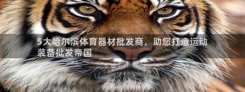 极悦平台的注册流程及注意事项是什么：5大哈尔滨体育器