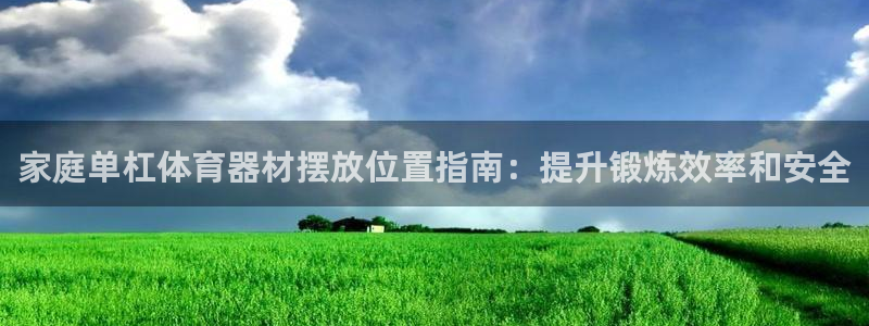 极悦平台app二维码怎么弄到桌面：家庭单杠体育器材摆