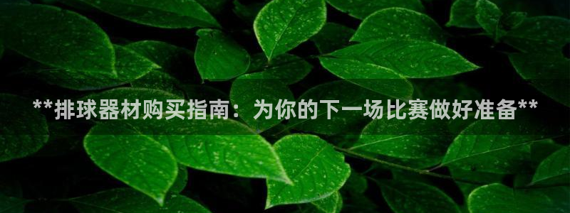 极悦平台客服团队：**排球器材购买指南：为你的下一场