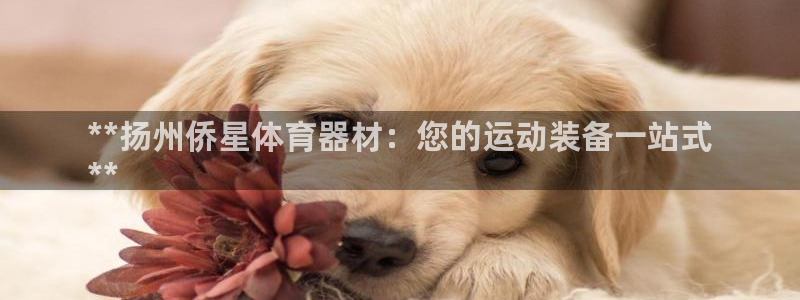 极悦生活家是什么平台的软件：**扬州侨星体育器材：您