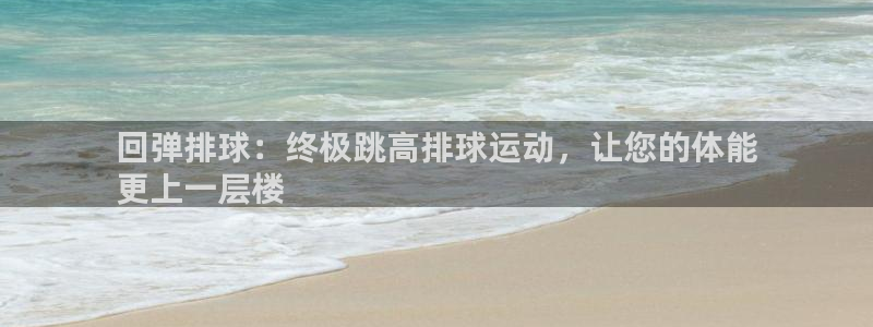 极悦平台注册用户名验证码是什么：回弹排球：终极跳高排