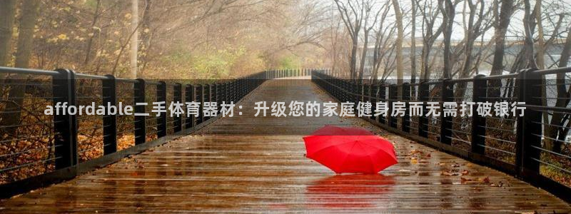 极悦平台创始人背景故事视频：affordable二手