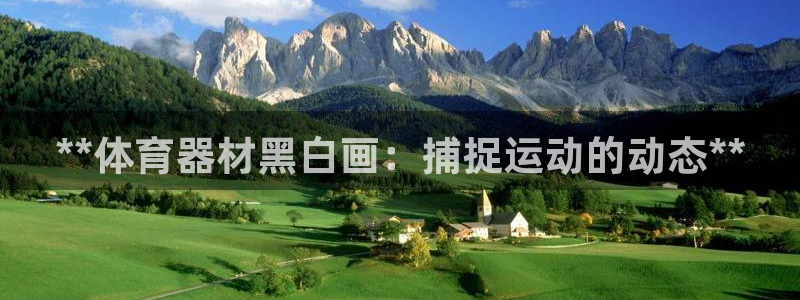 极悦平台注册用户名验证不了：**体育器材黑白画：捕捉