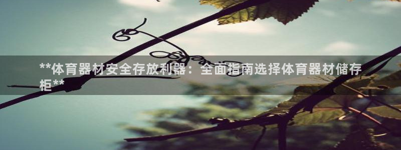 极悦官网注册最新版本更新内容在哪：**体育器材安全存